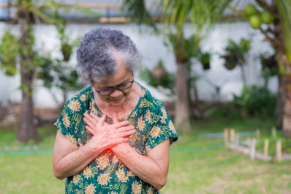 Пожилая Женщина Хватается Грудь Первых Признаках Стенокардии Инфаркта Миокарда Сердечного — стоковое фото
