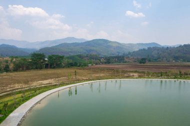 Göl ve ağaçların manzarası. Güzel yaz manzarası.