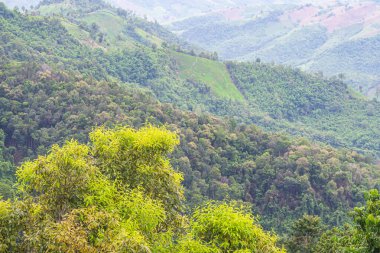 Bulutlara karşı dağların manzarası. Doğa fotoğrafçılığı. Metin için boşluk.