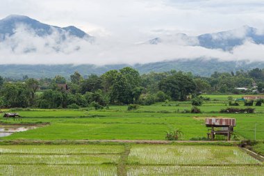 Gökyüzüne karşı tarlaların ve dağların manzarası. Doğa fotoğrafçılığı. Metin için boşluk.