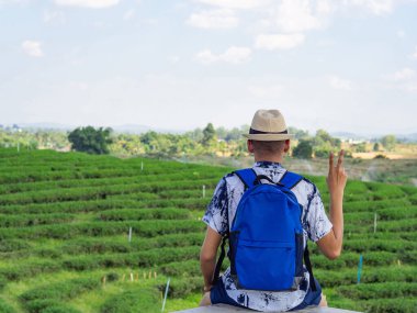 Sırt çantalı genç bir adam yeşil çay tarlasının doğal ortamının tadını çıkarıyor..