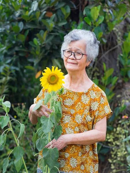 Portrait of an elderly woman with short gray hair smiling and standing side of a sunflower flower in a garden. Space for text. Concept of aged people and relaxation.