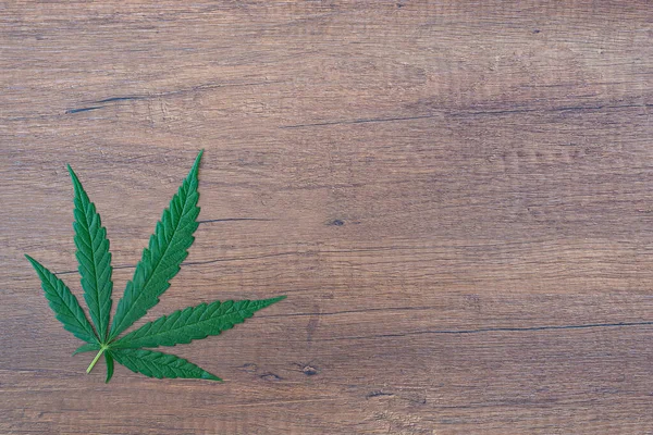 Ahşap masadaki kenevir yaprağının en üst görüntüsü. Mesaj için yer var. Ahşap doku arka planı. İlaç olarak kenevir yeşili yapraklar. Marihuana tarlası konsepti