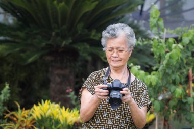 Bahçede dikilirken elinde dijital kamera tutan yaşlı bir kadın. Asyalı son sınıf öğrencisi kısa beyaz saçlı, gözlüklü, kamera kullanırken mutlu. Yaşlılar ve fotoğrafçılık kavramı