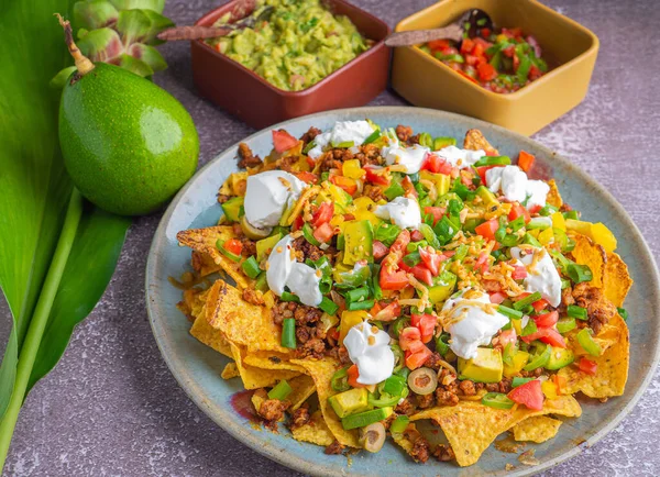 Guacamole ve salsa soslu kıymalı domuz nachos 'un en iyi manzarası. Mesaj için yer var. Meksika yemeği kavramı