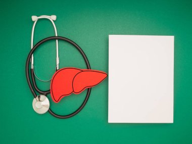 Stetoskop, kırmızı karaciğer şekilli sembol ve yeşil zemin üzerinde beyaz bir kağıt. Üst Manzara. Yakın plan fotoğraf. Tıbbi ve sağlık hizmeti kavramı