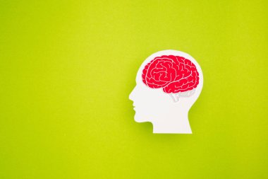 Yeşil arka planda bir beyin şekli sembolü. Alzheimer, Parkinson, bunama, felç, nöbet ya da akıl sağlığı. Tıbbi ve Sağlık Konsepti