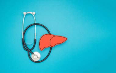 Bir stetoskop ve mavi arka planda kırmızı karaciğer şekli sembolü. Üst Manzara. Mesaj için yer var. Tıbbi ve sağlık hizmeti kavramı