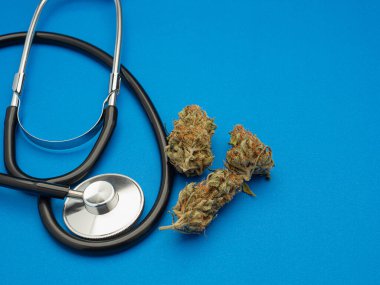 Kuru marihuana tomurcukları çiçek ve mavi arka planda steteskop. Yakın plan fotoğraf. Bitkisel, tıbbi, sağlık ve işletme kavramı