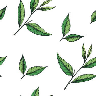Basit el yapımı yeşil çay yapraklarıyla kusursuz bir desenin vektör çizimi. Kumaş, kırtasiye veya çay, kibrit, ambalaj, etiket için ambalaj kağıdı tasarımı
