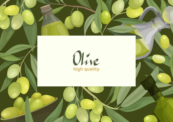 Vektorový Ilustrační Banner Nebo Rám Olivovými Ratolestmi Ovocem Lahvemi Olivového — Stockový vektor