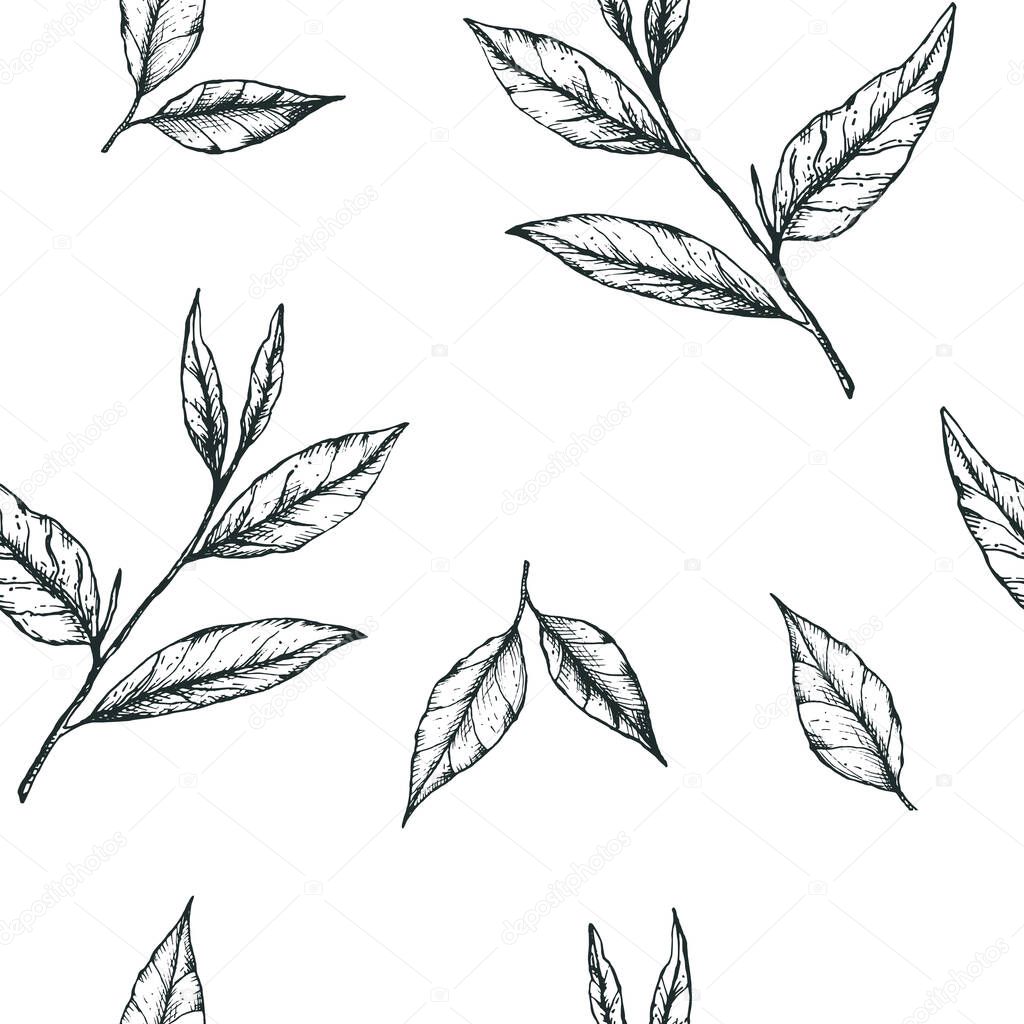 Vector illustration seamless pattern with simple hand-drawn tea leaves. Design for fabric, stationery or wrapping paper for tea, matcha, packaging, label
