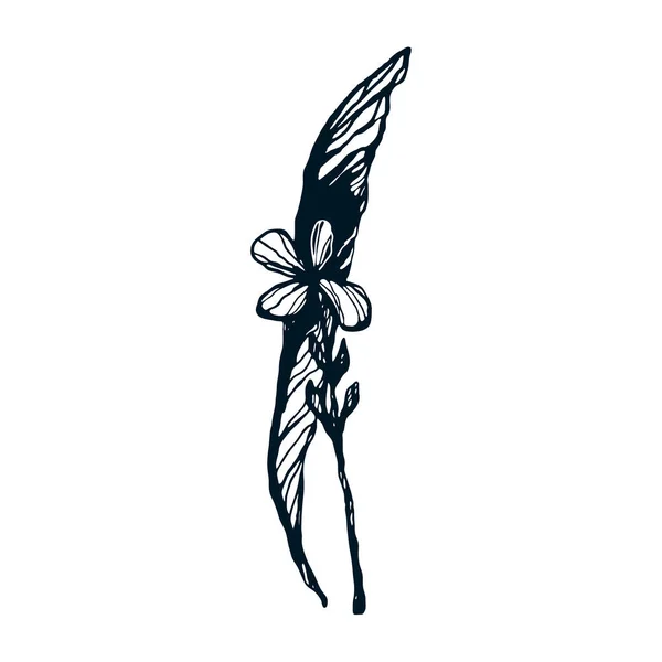 Εικονογράφηση Διανυσματικού Μελανιού Ένα Λουλούδι Και Φύλλο Χειροποίητα Λουλούδια Για — Διανυσματικό Αρχείο