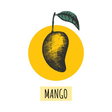 Ağaçta sarı mangolu meyveler olan vektörsüz desen. El yapımı Tayland mangosu ve mavi yapraklar. Tekstil çantası, gömlek, duvar kağıdı ve kumaş, masa örtüsü ve mutfak tasarımı için.