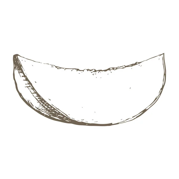 タイのマンゴースライスで植物イラストを描いたストックベクトル手描き エングレービングマンゴーフルーツ1つ エキゾチックなトロピカルベジタリアンフルーツ カフェ スムージーレストランメニュー テキスタイルプリントのための使用 — ストックベクタ