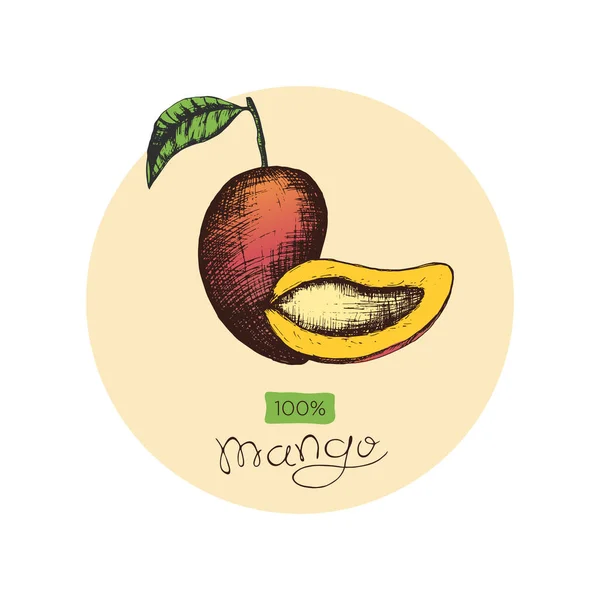 Illustrazione Vettoriale Stock Con Frutti Mango Modello Creativo Con Disegno — Vettoriale Stock