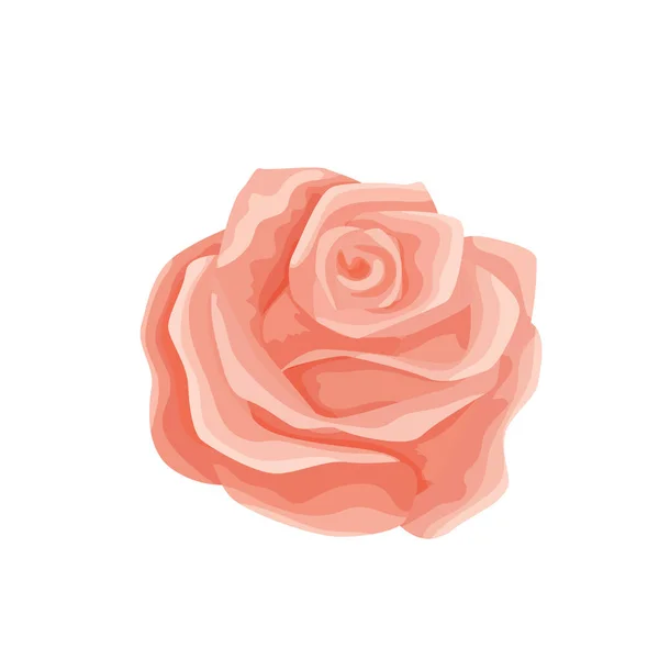 Ilustração Vetorial Único Botão Rosa Doce Flor Para Site Uma —  Vetores de Stock