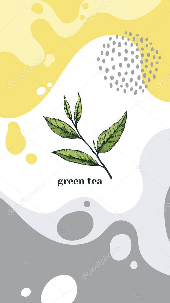 Vector illustration of an advertising vertical banner with a sprig of green tea. Tea house and ceremonies, for stories and poster of matcha tea