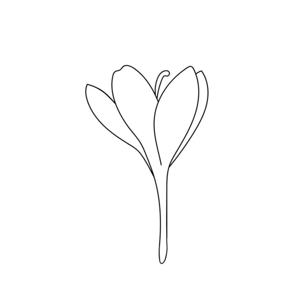 ストロークで描かれた単一の単純なクロッカスサフランの花のベクトルイラスト 植物イラストベクトル蕾アイコン — ストックベクタ
