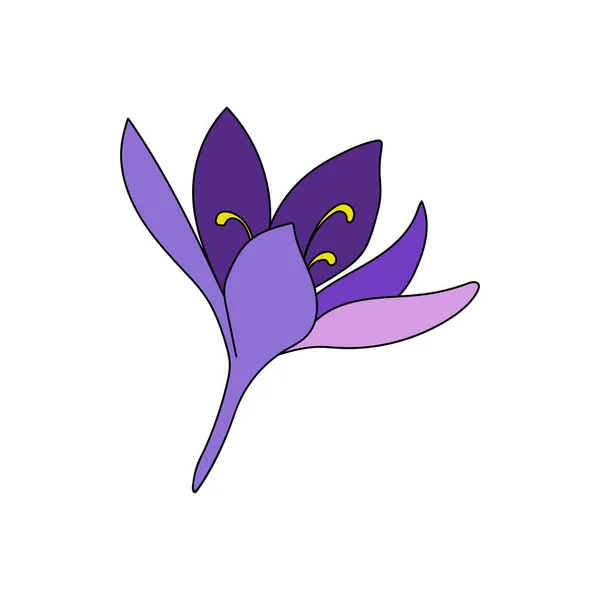 Ilustração Vetorial Uma Única Cor Crocus Açafrão Flor Desenho Linear — Vetor de Stock