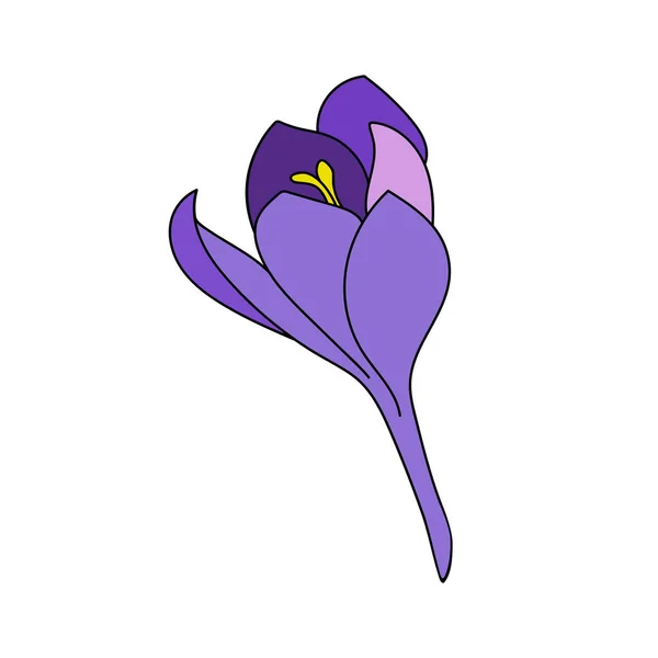 Ilustração Vetorial Uma Única Cor Crocus Açafrão Flor Desenho Linear — Vetor de Stock