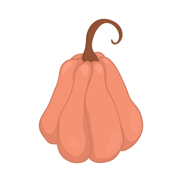 Calabaza Rosa Oblonga Dibuja Estilo Dibujos Animados Calabaza Redonda Para — Vector de stock