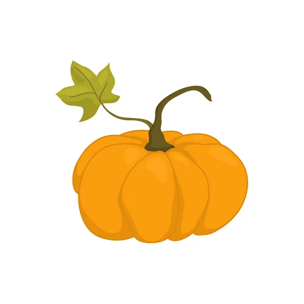 Una Gran Calabaza Naranja Con Una Hoja Dibuja Estilo Dibujos — Vector de stock