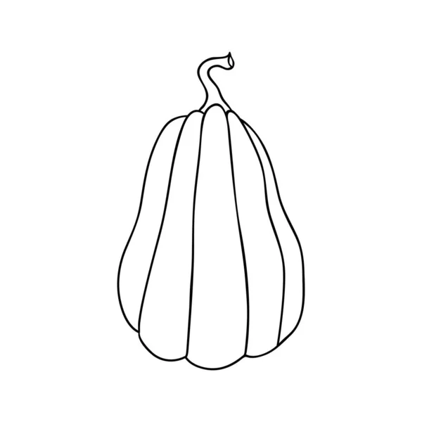 Pumpkin Ikon Buah Besar Dalam Gambar Garis Sederhana Ilustrasi Vektor - Stok Vektor
