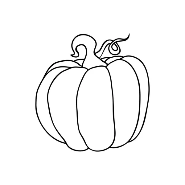 Iconos Calabaza Grandes Frutas Redondas Dibujos Línea Simple Ilustración Vectorial — Vector de stock