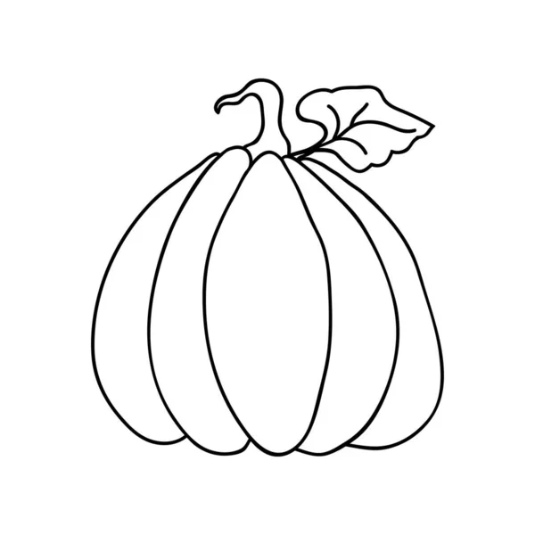 簡単な線画で 葉とカボチャのアイコンの大きな果物 ハロウィーンや収穫のためのカボチャのベクトルイラスト ラベルのバッジ パッケージ — ストックベクタ