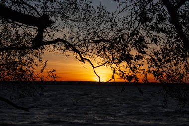 Alacakaranlıkta deniz manzarası ön planda ağaç dalları ve yaprakların silueti ve arka planda gün batımı.
