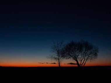 Günbatımından sonra alacakaranlıkta koyu mavi gökyüzüne karşı sonbaharda çıplak ağaçların siyah siluetlerini gösteren yatay manzara fotoğrafı.