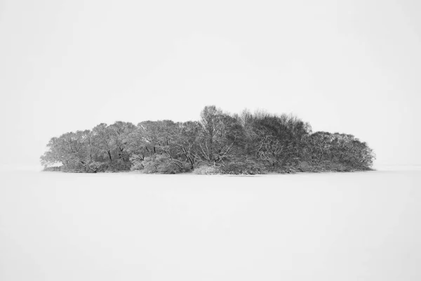 Horizontal landscape conceptual photo of an isolated uninhabited island with numerous of trees, on a white covered with snow frozen lake at daylight