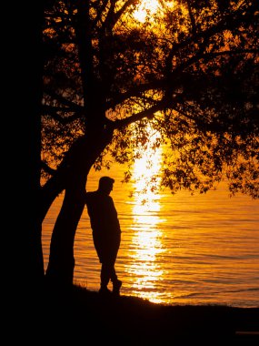 Parlak turuncu gün batımında deniz kıyısındaki ağaca yaslanmış yalnız bir adamın siyah siluetleriyle dikey romantik bir görüntü. 