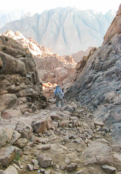 Woestijn van de Sinai, Egypte — Stockfoto