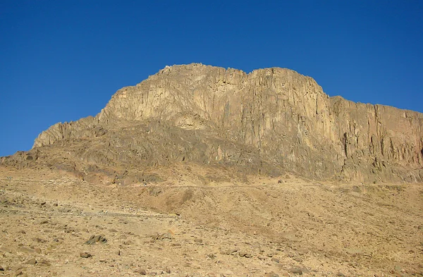 Woestijn van de Sinai, Egypte — Stockfoto