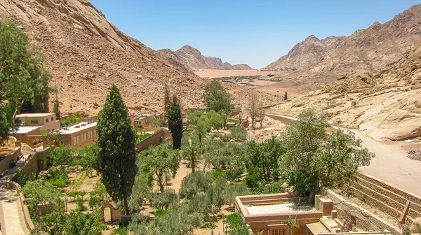 Woestijn van de Sinai, Egypte — Stockfoto