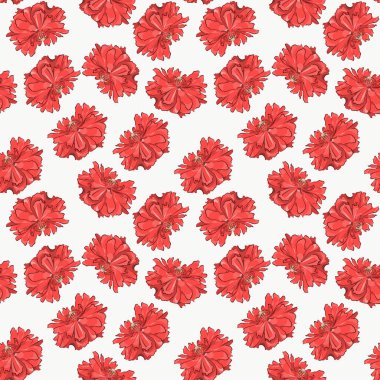 Beyaz arkaplanda gelincik çiçeklerinin renk deseni.