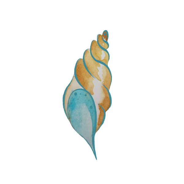 Aquarelle Couleur Coquille Mer Clip Art — Photo