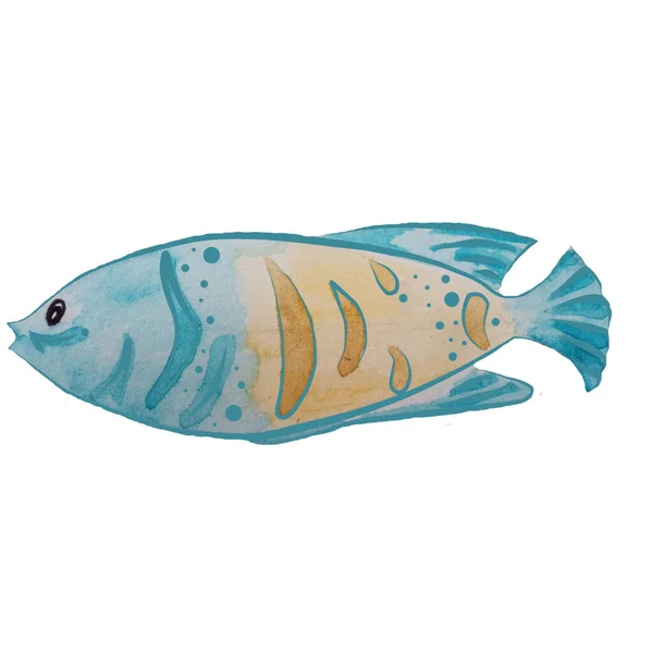 Акварельний Кольоровий Кліпарт Мистецтва Морської Риби — стокове фото