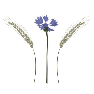 Çiçeklerin ve dikenlerin renk çizimi.