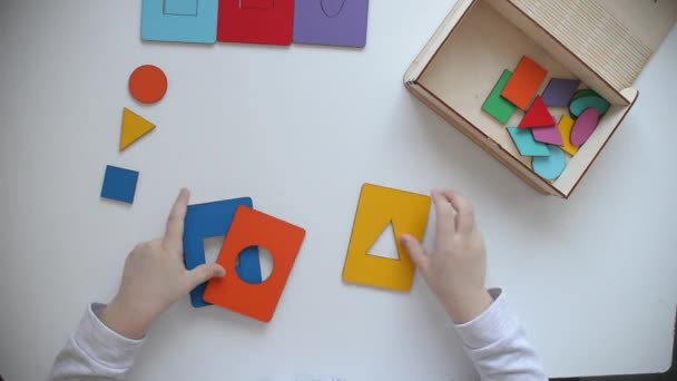 Aprendiendo Colores Formas Juguete Madera Para Niños Niño Recoge Clasificador — Vídeos de Stock