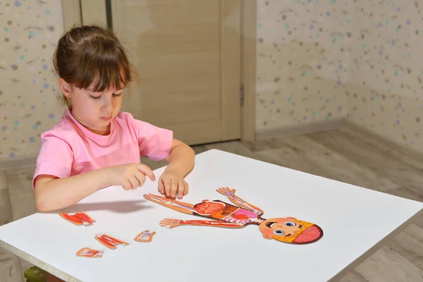 Orenburg Rosja 2020 Przedszkolak Zbiera Puzzle Struktury Człowieka Ciekawe Dzieci — Zdjęcie stockowe