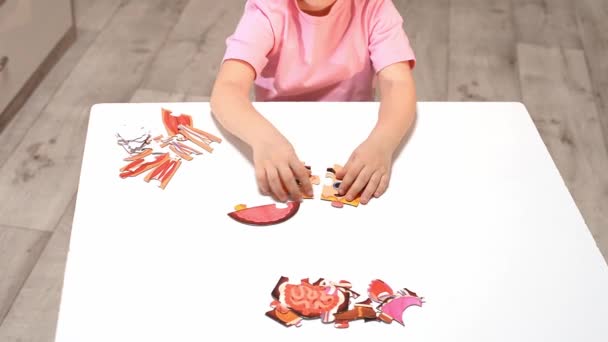 Orenburg Russia 2020 Preschooler Collects Puzzle Structure Person Curious Children — Stock Video