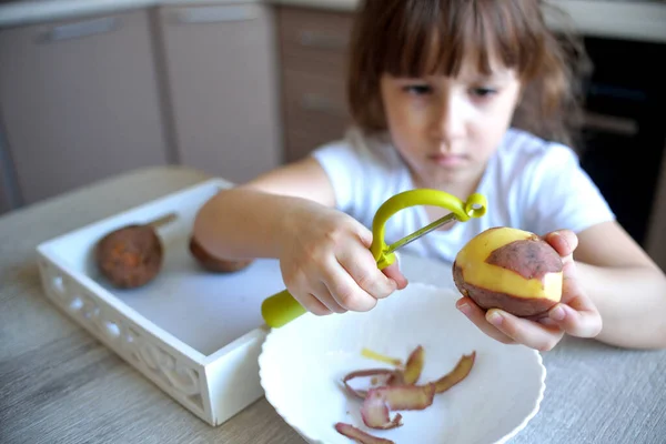 孩子们用绿色的剥皮剥去土豆皮 学龄前儿童准备食物 蒙台梭里材料的教训从实际的生活领域 家庭生活方式 图库图片