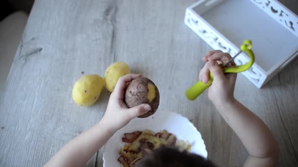 子供たちの手は 実用的なライフゾーンからの教訓のためにモンテッソーリ材料でジャガイモを剥離 ジャガイモ トレイ 家での生活 — ストック動画