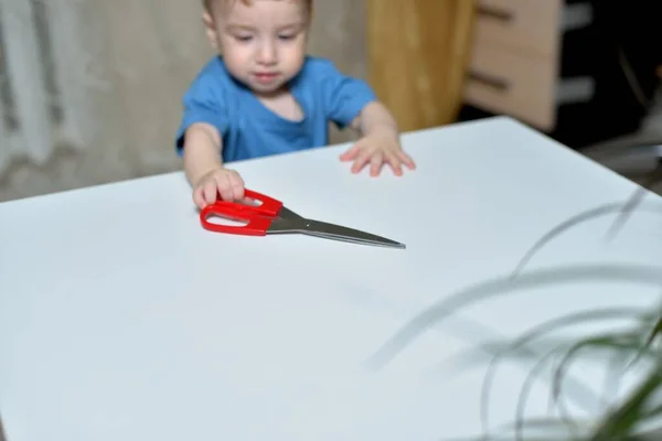 在家里有危险 尖锐的物体对幼儿是危险的 小男孩从桌子上拿起剪刀会伤到自己的 图库图片