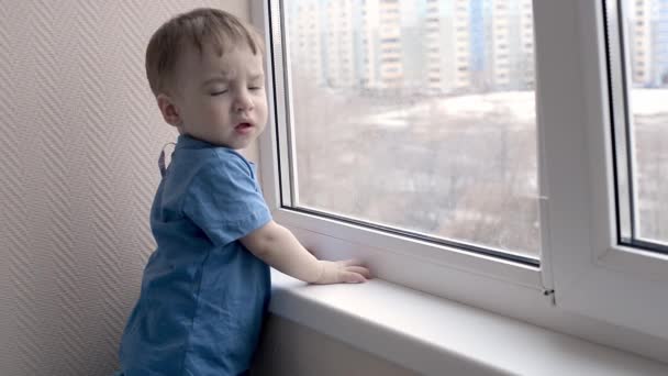 Little Toddler Boy Sitting Looking Out Window Safety Home Small — Stock Video