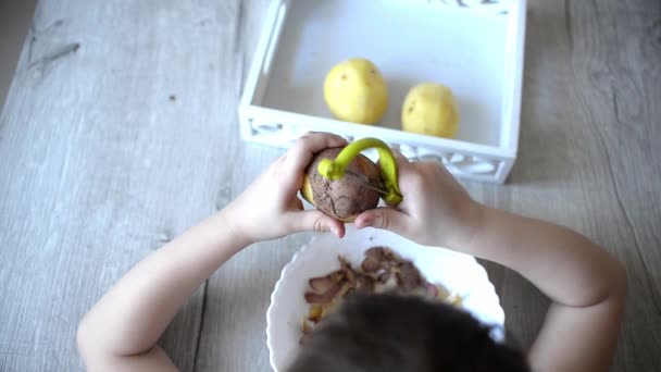 Dětské Ruce Peeling Brambory Montessori Materiály Pro Lekci Praktické Životní — Stock video