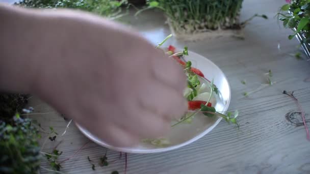 Taze Yapımı Sebze Salatası Yenilebilir Çiçeklerle Büyüyen Mikro Yeşillikler Evde — Stok video